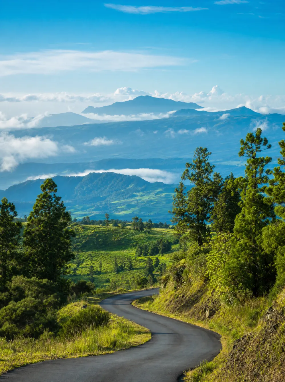 Route sinueuse dans les Hauts de La Plaine des Cafres